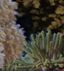 Untitled.png