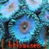btkrausen