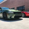 F8scat