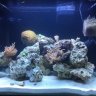 GardenReef