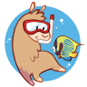 BahamaLlamaCoral