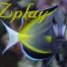 zplay
