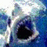 WLDSHARK