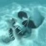 SeansReef