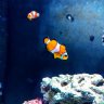 Eds Reef