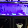 TopherTank
