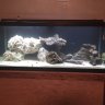 New reefer11