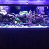 mixedreefer150
