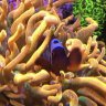 JMHREEF