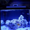 Leo Hernandez