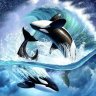 OceanPanda