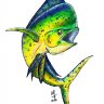 Dorado