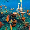 Chrisreef