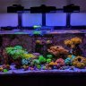 Reefer45C