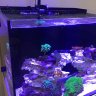 Gator_Reefer