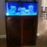 New2Reefing