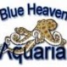 BlueHeaven