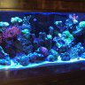 Reefer105