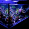 Greekreef