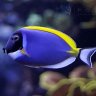 ashley magnan