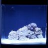 Biocube32er
