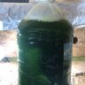 PhytoFactory