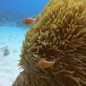 Is this the LFS