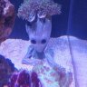 Cutebarra77