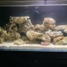 JK’s Reef