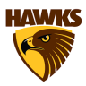 Hawks2footcube