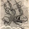 GeoSquid