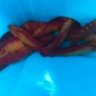 wetpetshawaii