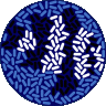 AquaBiomics