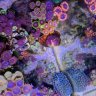 Somethingisfishy