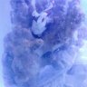 Michelesreef