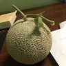 Thmelon