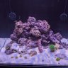 Fishy5oh