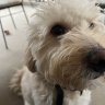 mbmartin06
