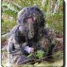 Sasquatch