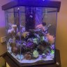 Wouter