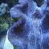 reefnfun
