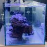 aquascape