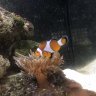 Oscar’s25Gal