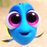 Reef_Rookie