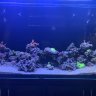 LSU-reefer