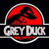greyduck-reef