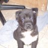 raffy026