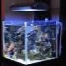 BattlesReef
