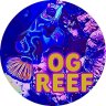 ReefRJ