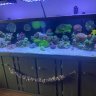 Myzoolife2